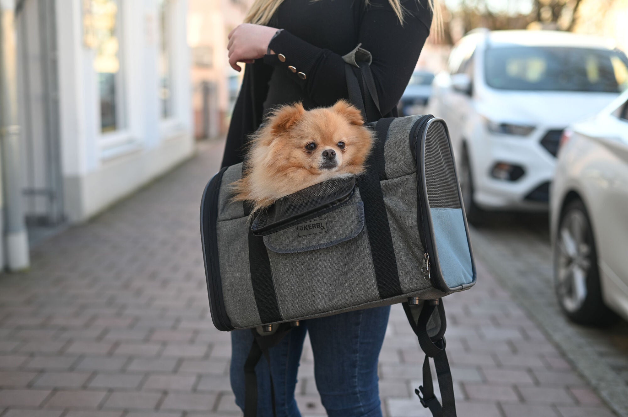 Travel
