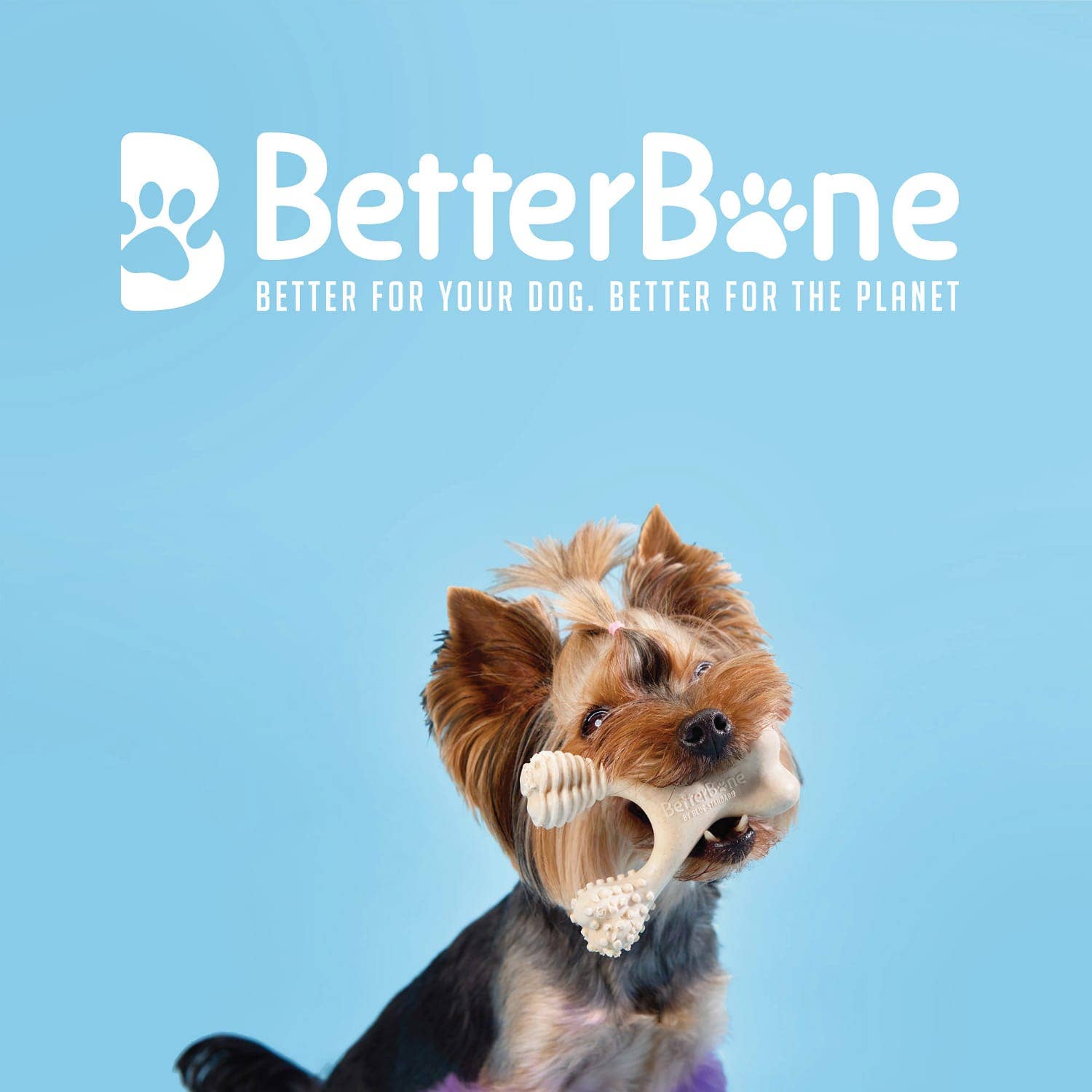 BetterBone Mini (for dogs <9kg)