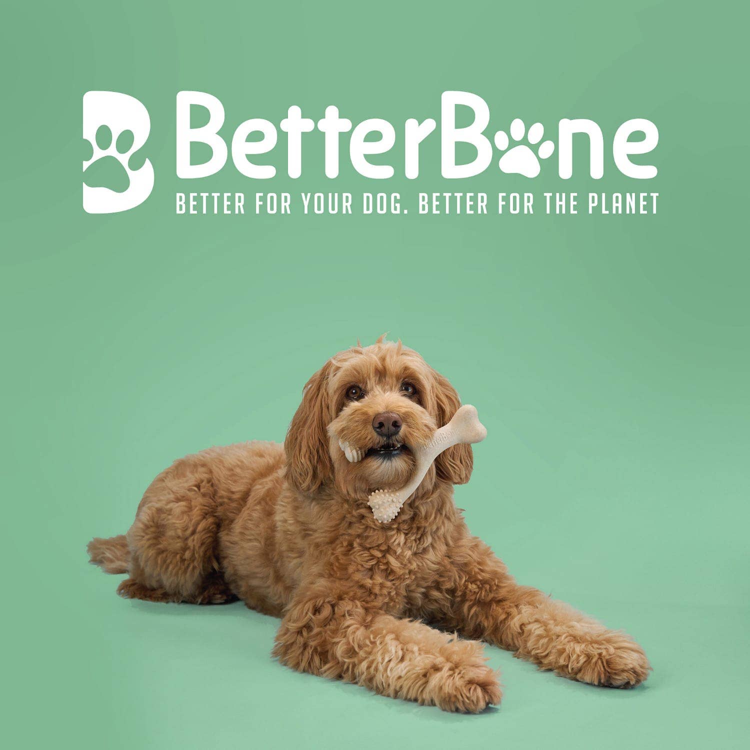 BetterBone Large (for dogs >25kg)