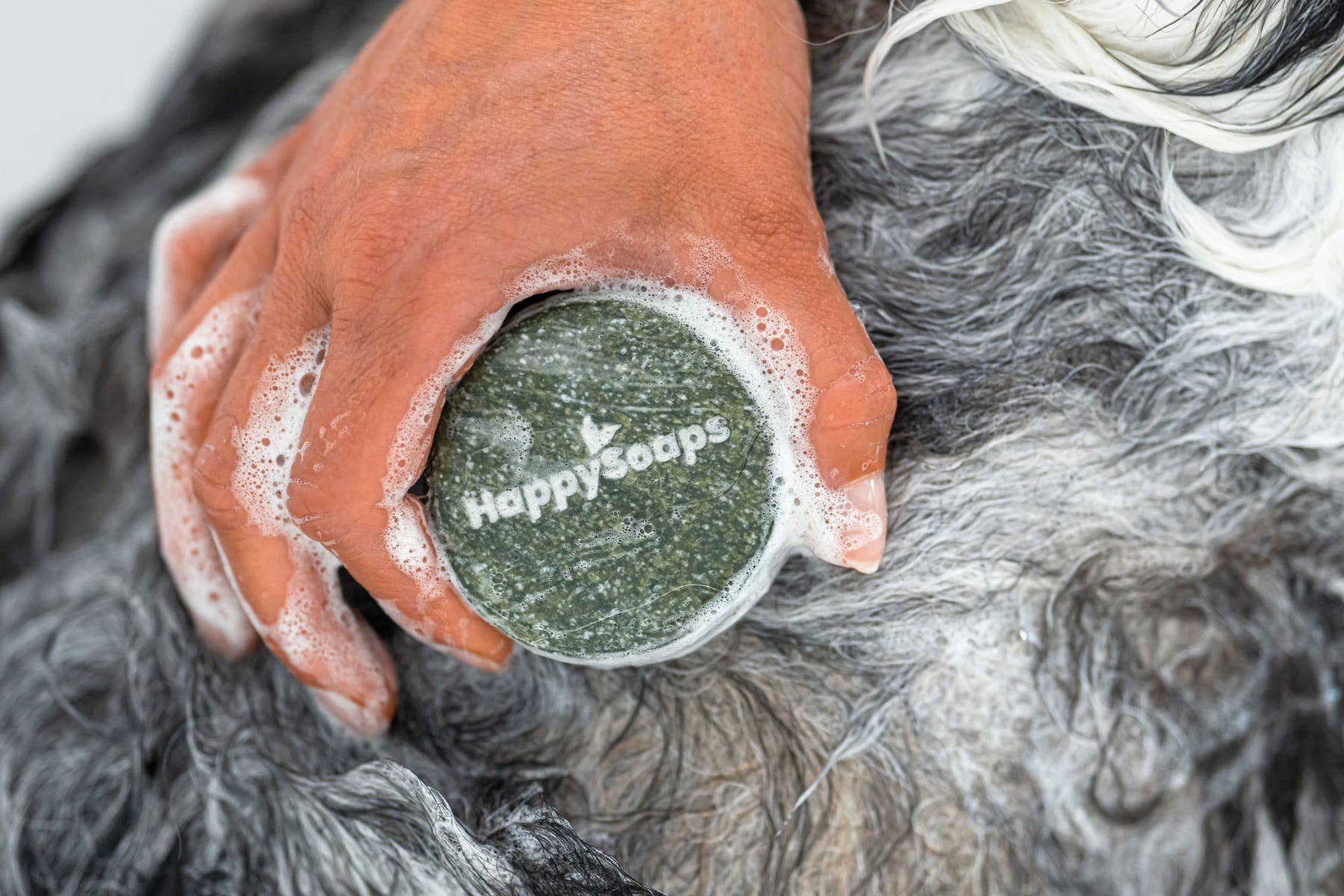 Dog Shampoo Bar - Great for Travel