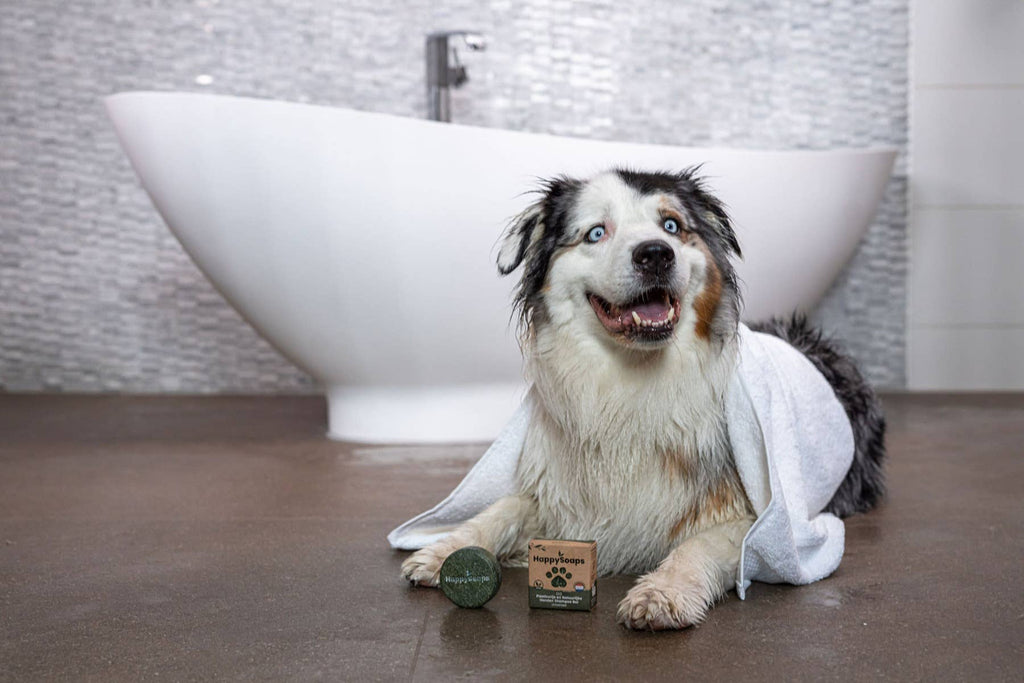 Dog Shampoo Bar - Great for Travel