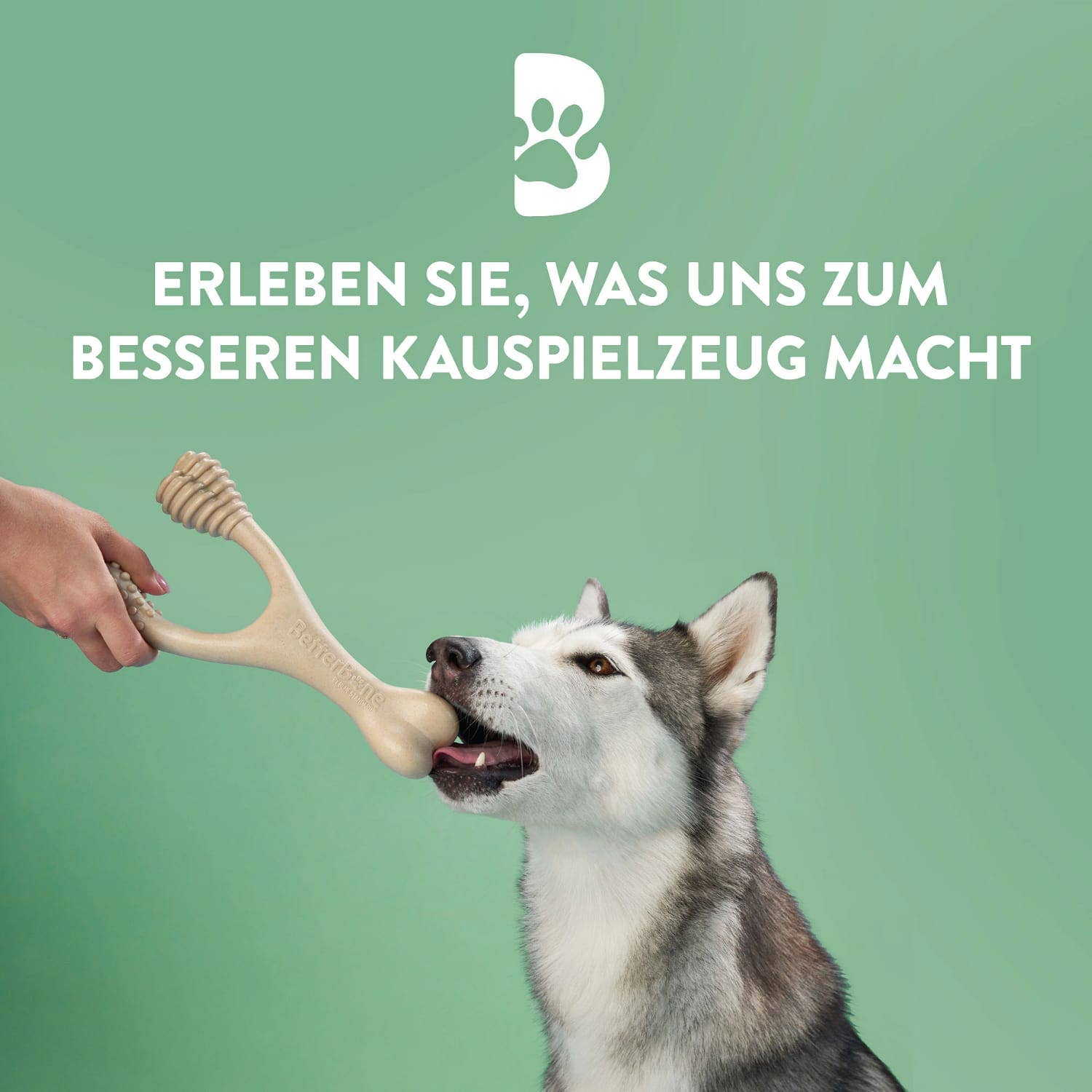 BetterBone Large (for dogs >25kg)