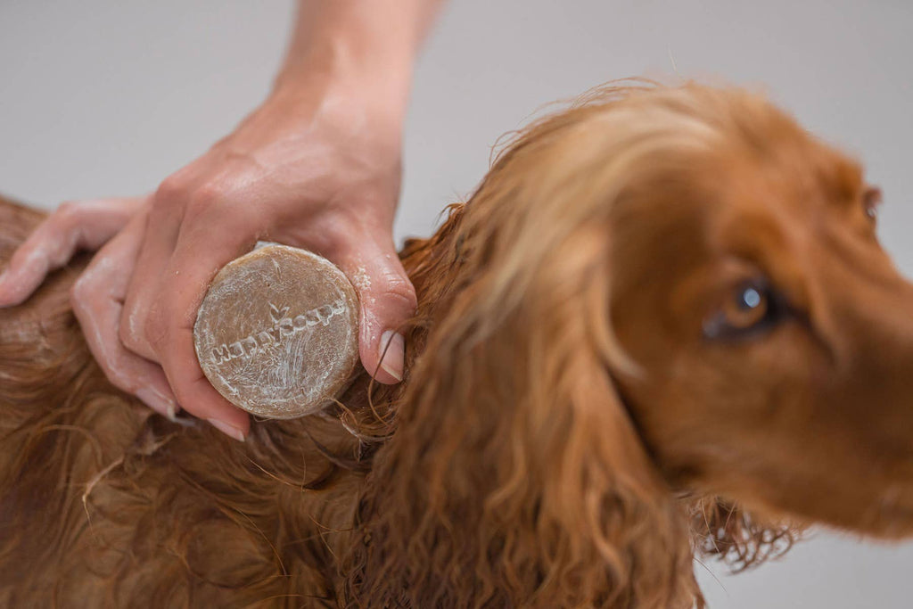 Dog Shampoo Bar - Great for Travel