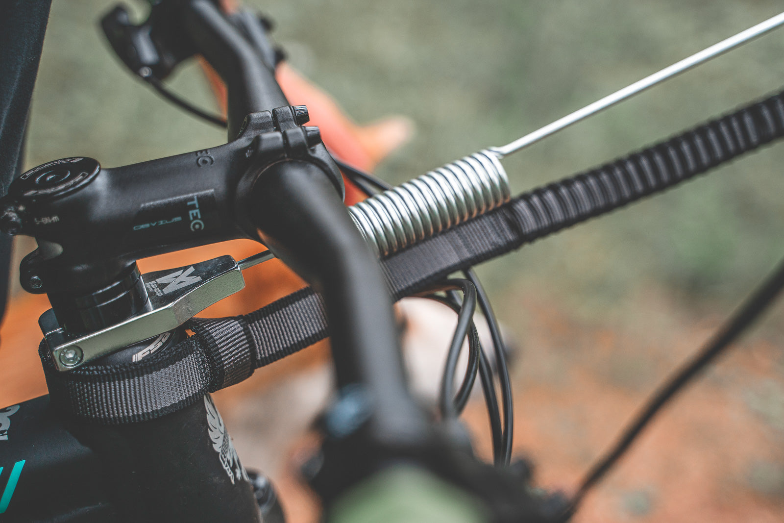 Bike Antenna for Dog