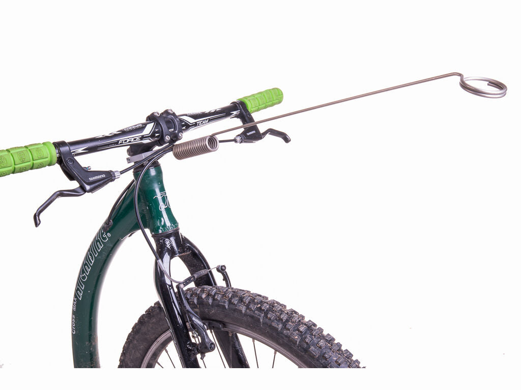 Bike Antenna for Dog