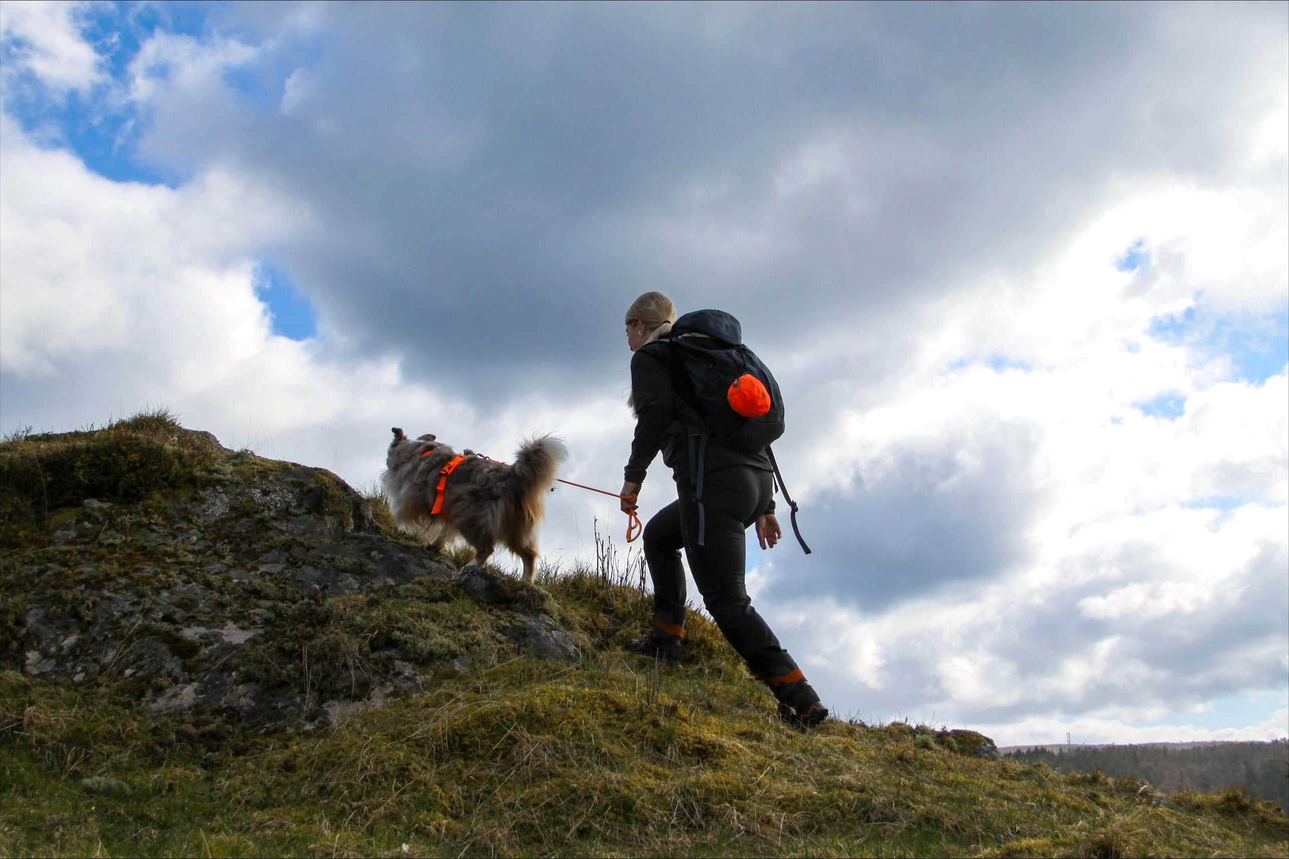 Dog Rescue Sling