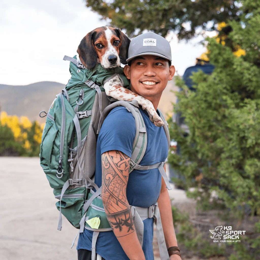 Kolossus Big Dog Carrier & Backpacking Pack