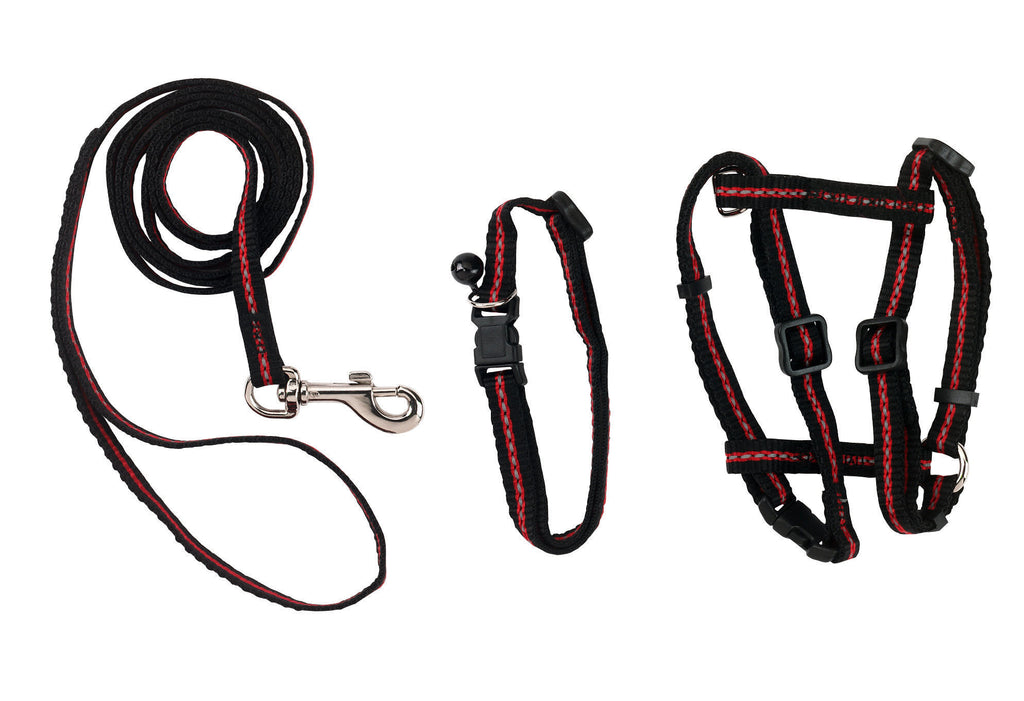 Basic Car Harness & Leash