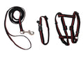 Basic Car Harness & Leash