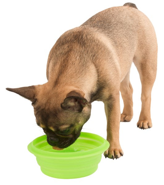 Silicone travel bowl (foldable) 250, 500, & 1000 ml