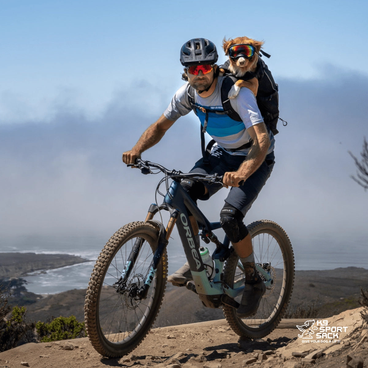 Knavigate Dog Backpack