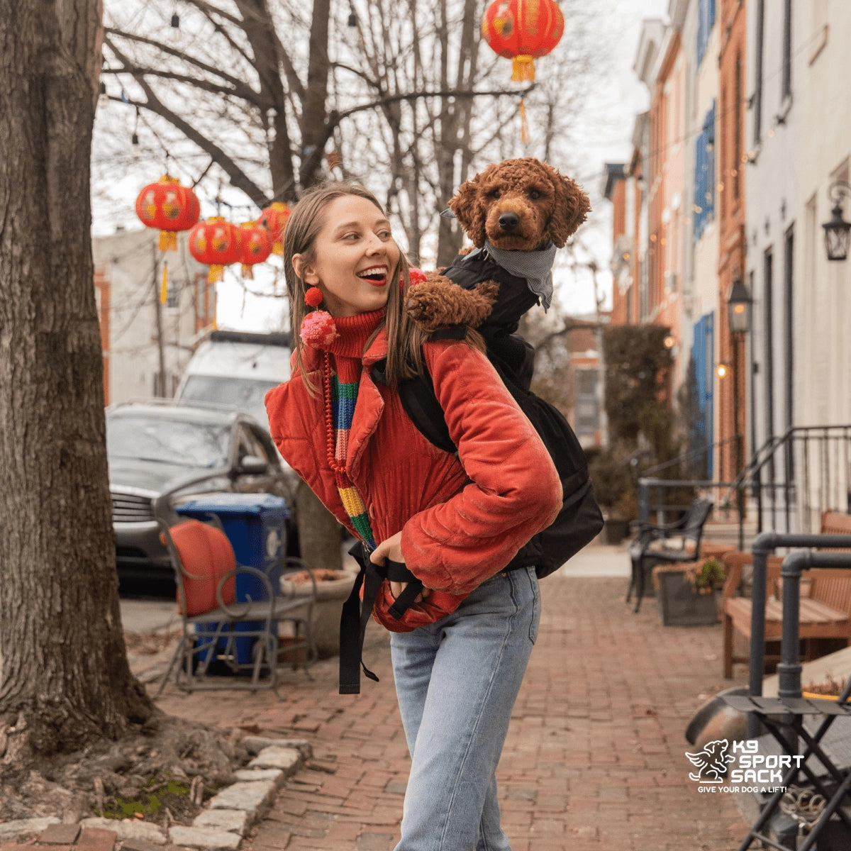 Knavigate Dog Backpack