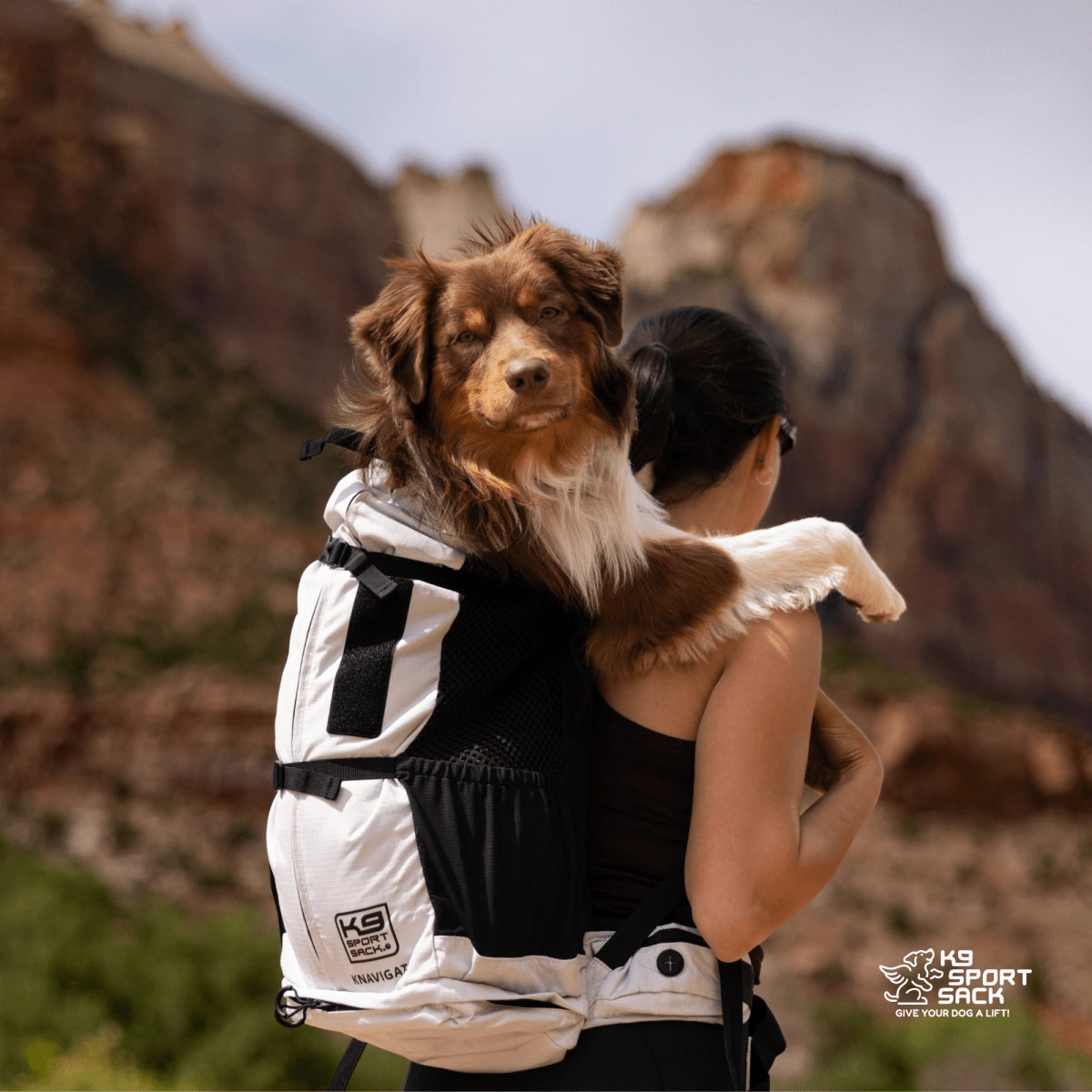 Knavigate Dog Backpack