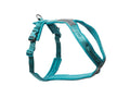 A teal dog harness with black plastic buckles and a black reflective chest strap, shown on a plain white background.