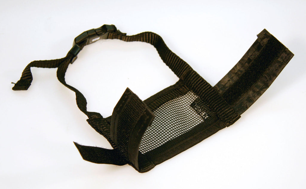 Nylon muzzle for travel
