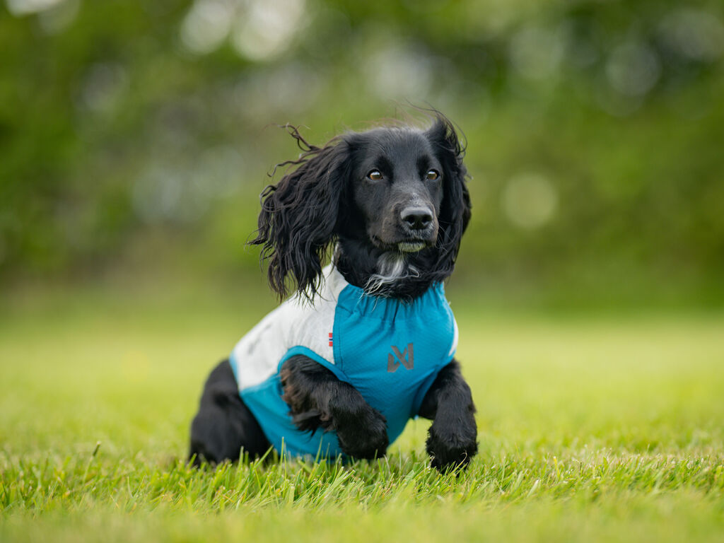 Cooling pull-on vest