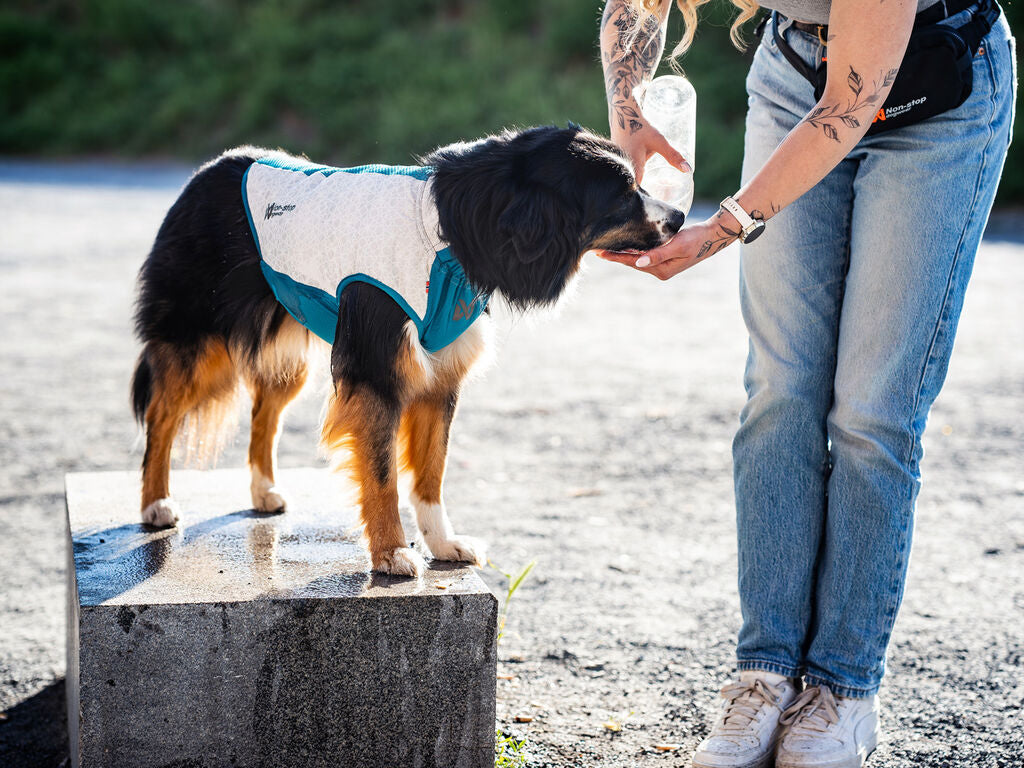 Cooling pull-on vest