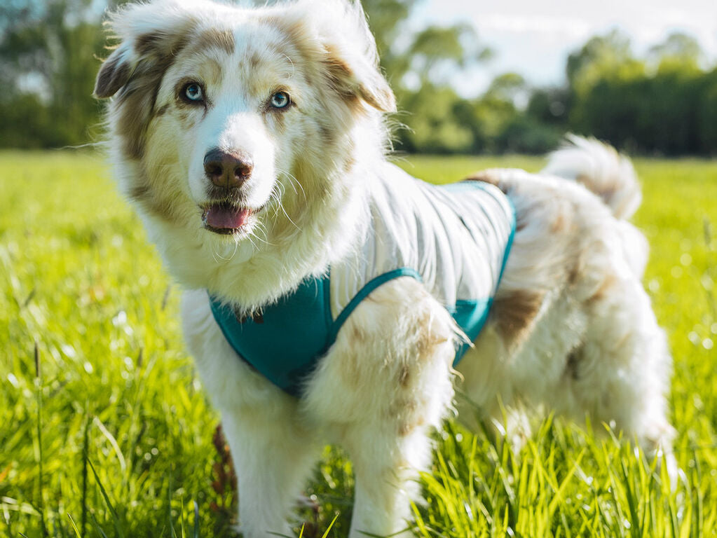 Cooling pull-on vest