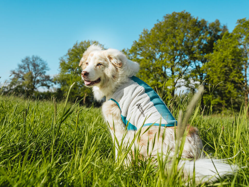 Cooling pull-on vest