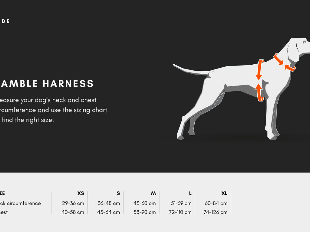 Ramble Harness
