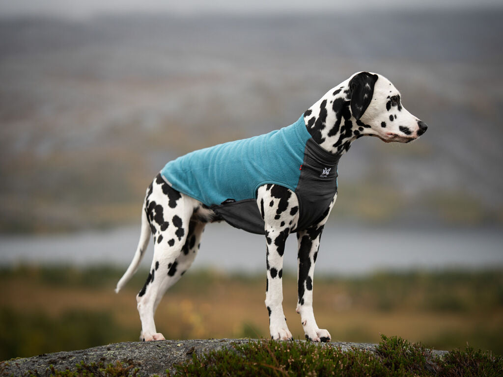 Trail quest fleece pullover