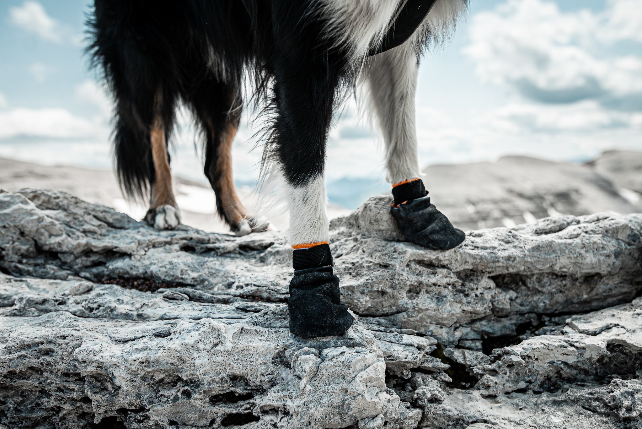 Protector Bootie