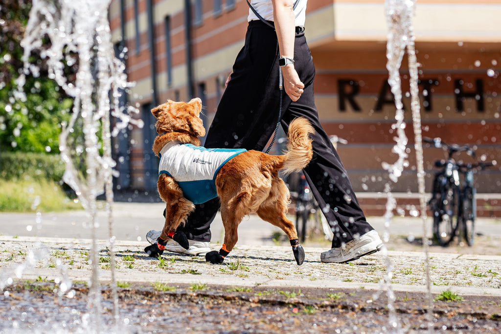Protector Booties and Cooling Pull On Vest