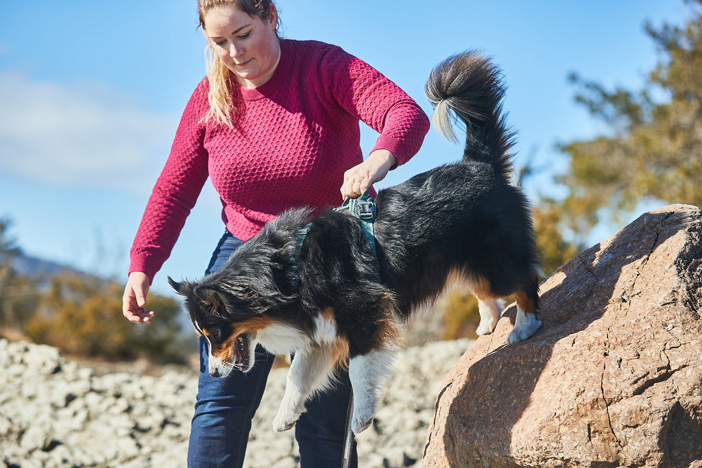 Ramble Harness