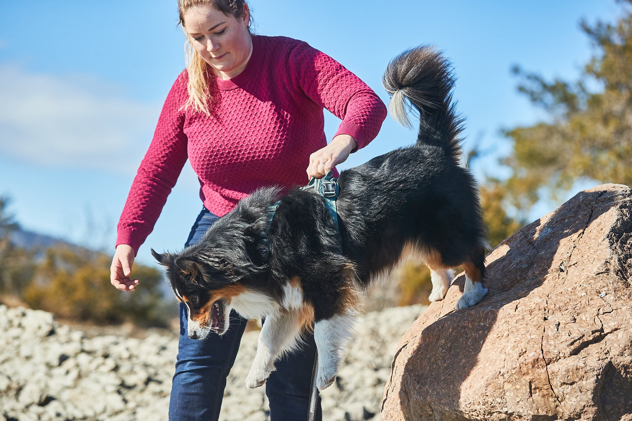 Ramble Harness