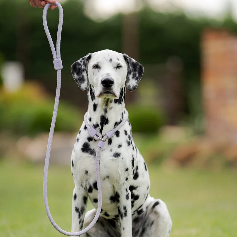 Rope Slip Lead