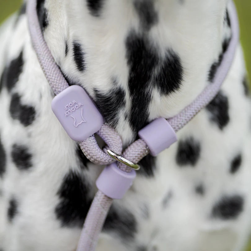 Rope Slip Lead