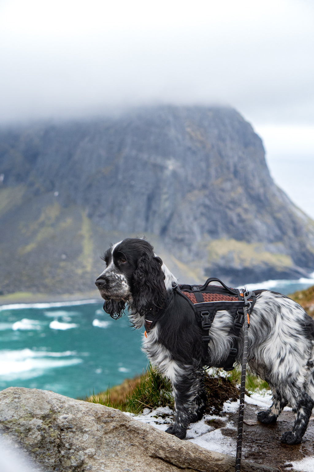 Rock Harness Long