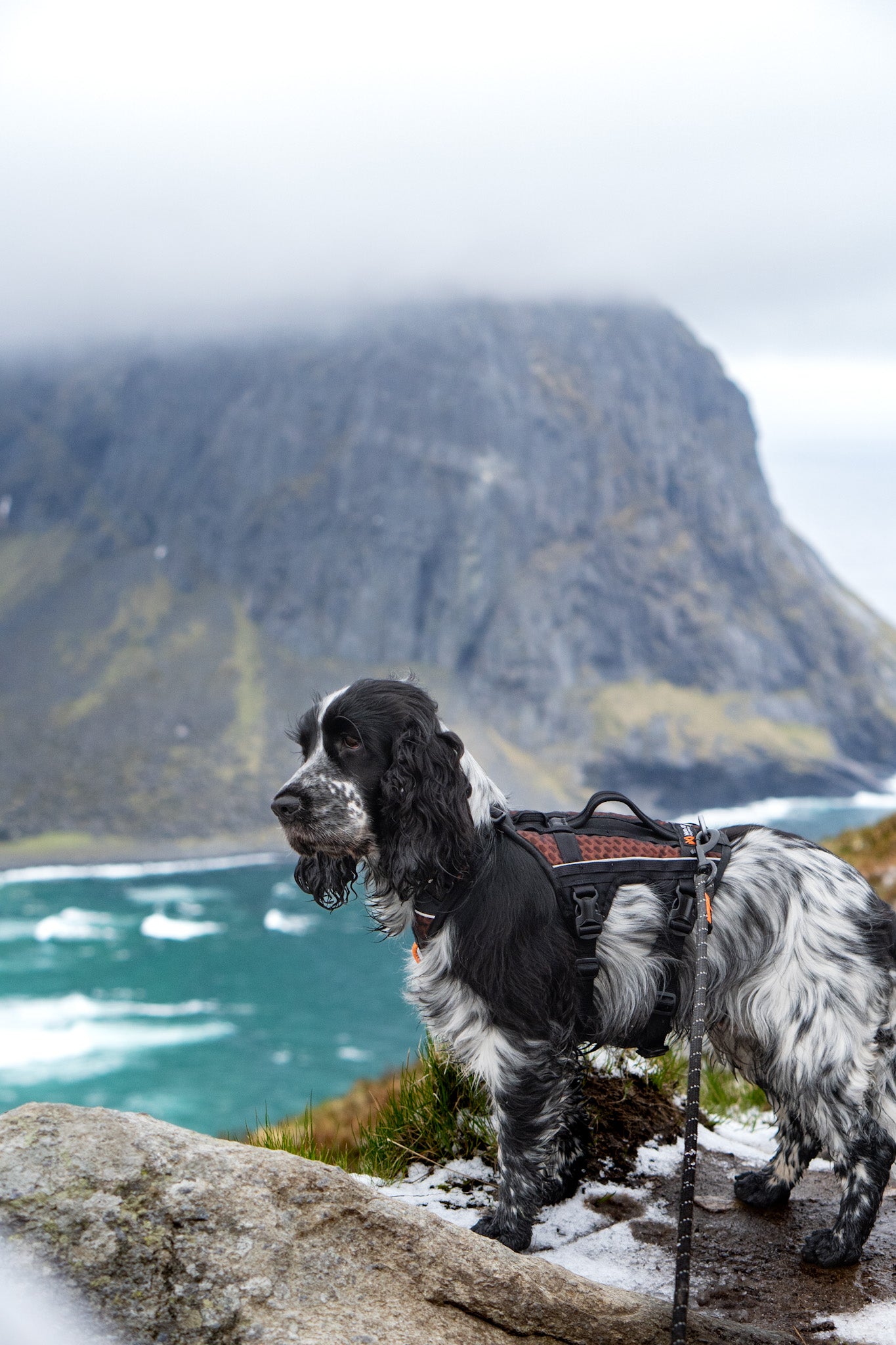 Rock Harness Long