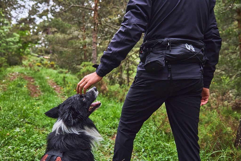 Trail Light Belt