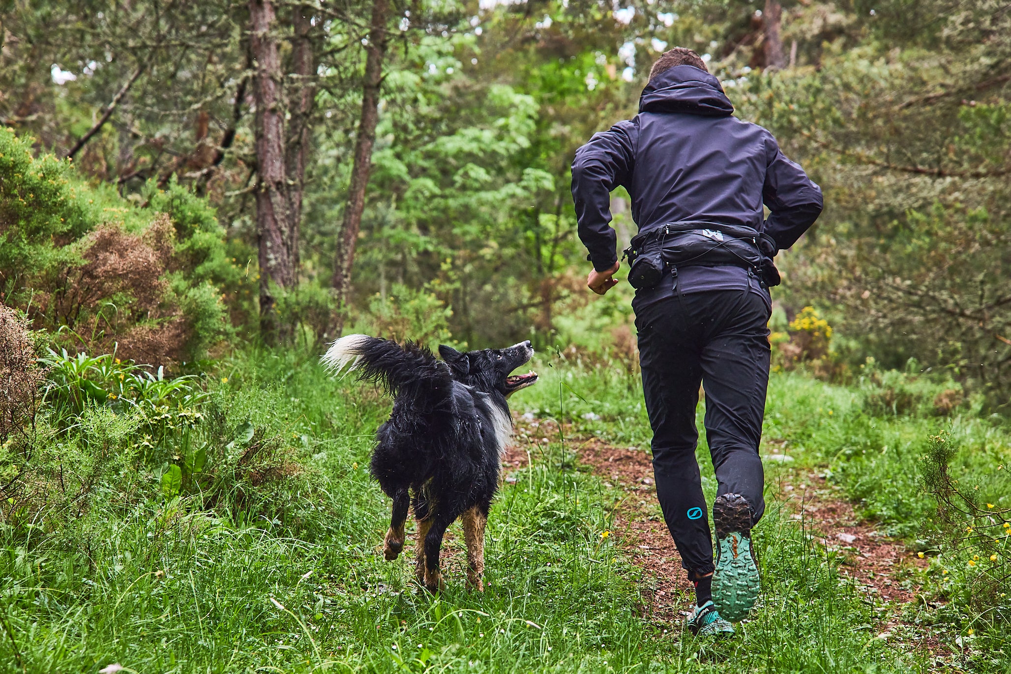 Trail Light Belt