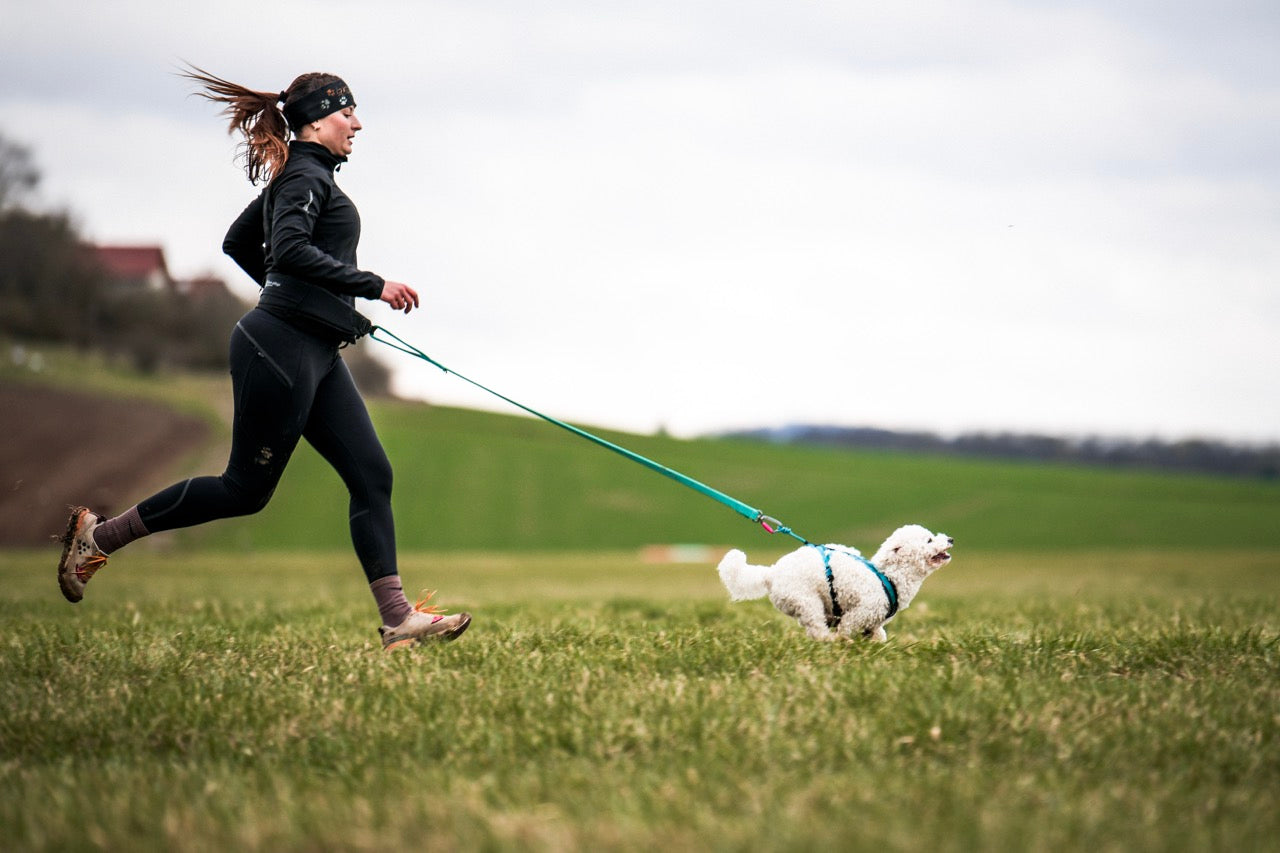Rush Harness
