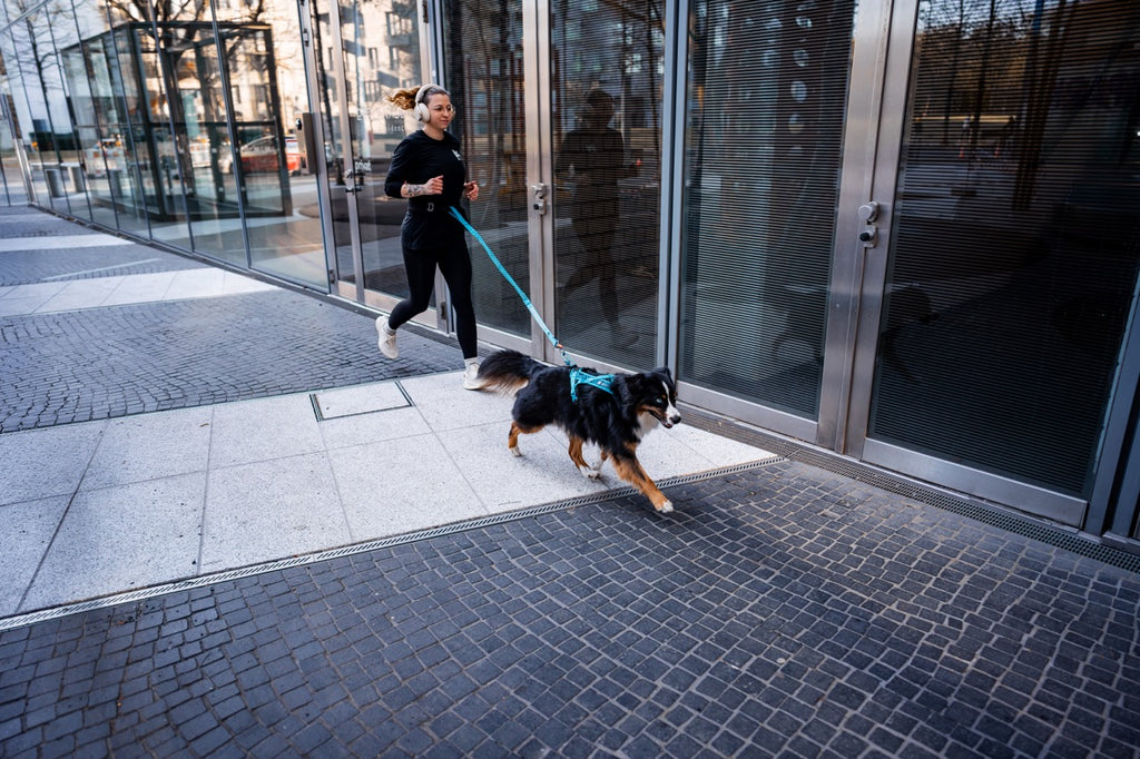 Rush Harness