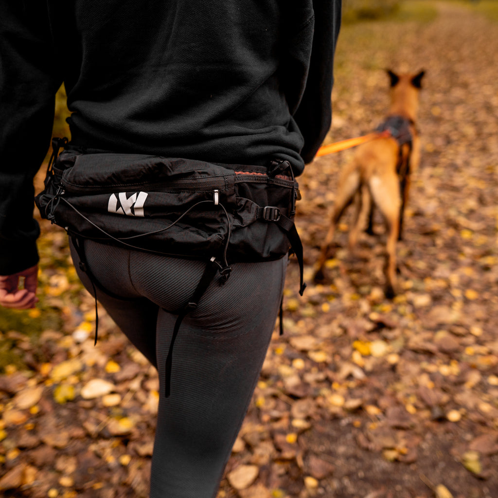 Trail Light Belt