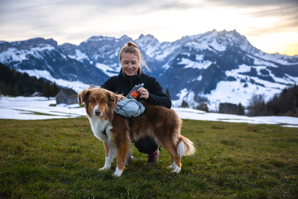 Trail Light Dog Backpack