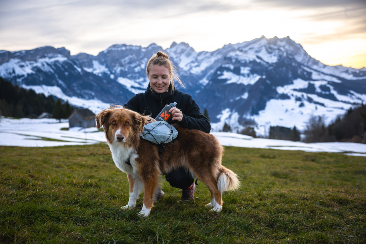 Trail Light Dog Backpack