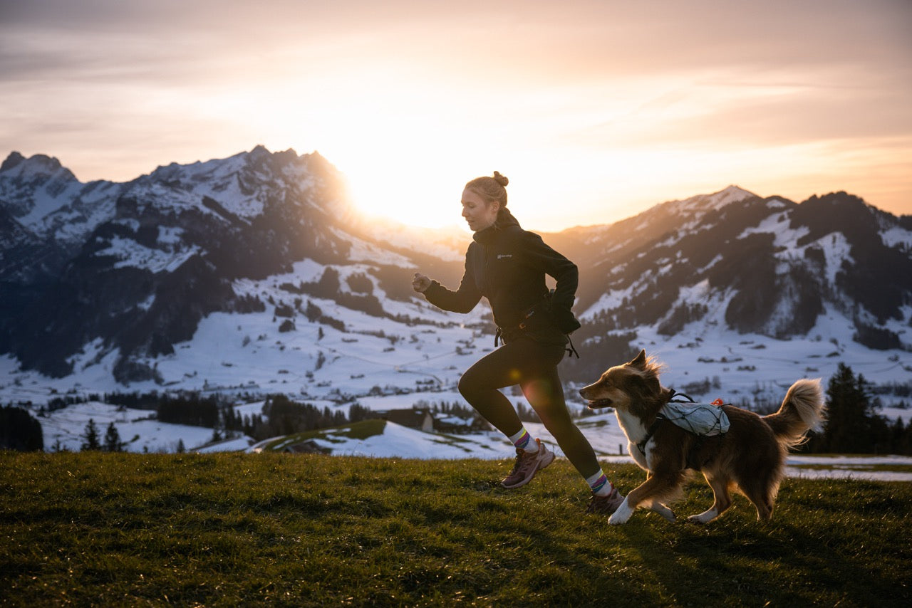 Trail Light Dog Backpack