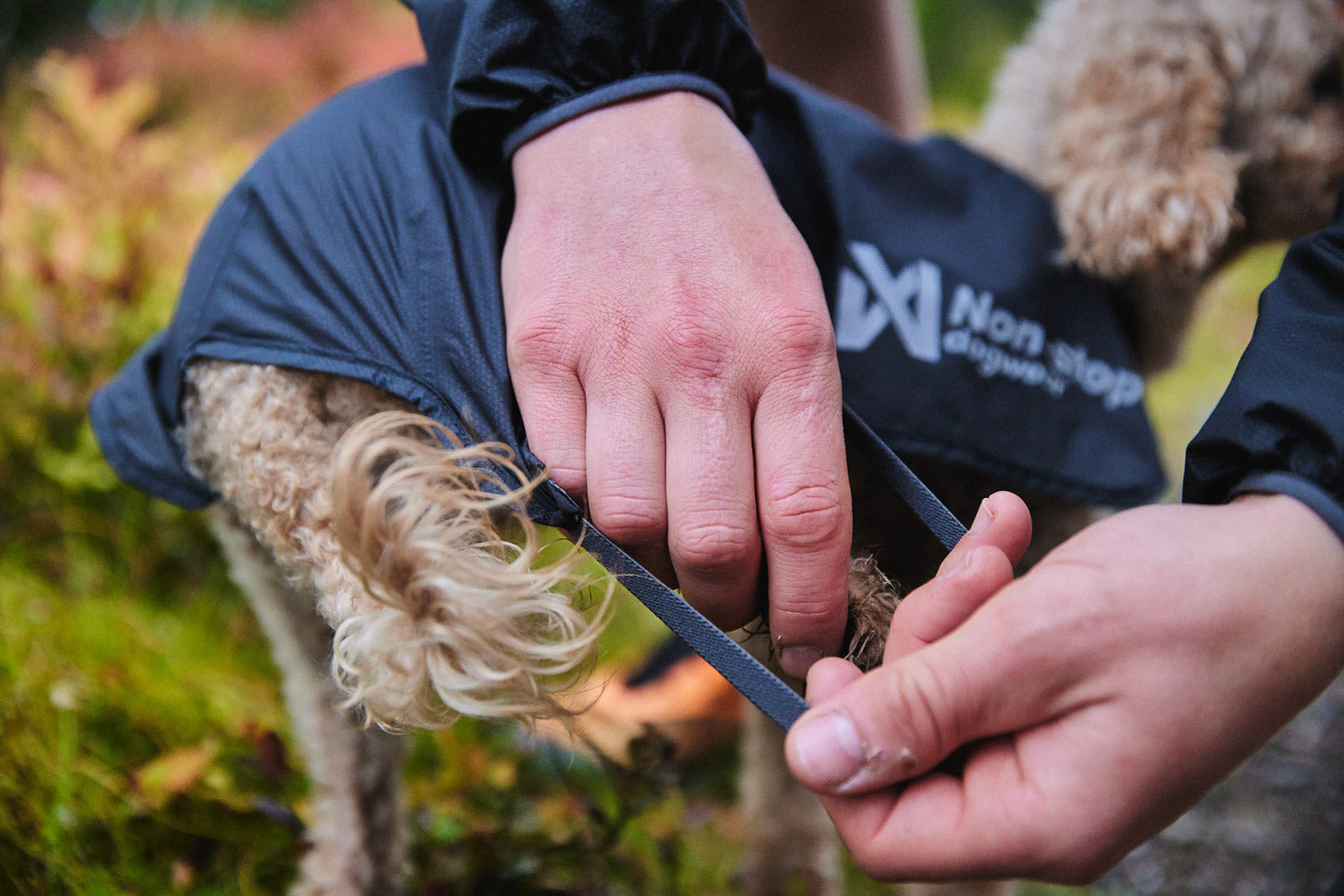 Trail light dog jacket