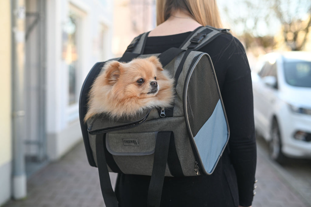 Vacation/travel pet backpack - Small dog or cat
