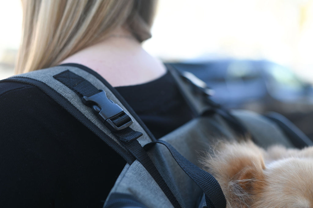 Vacation/travel pet backpack - Small dog or cat