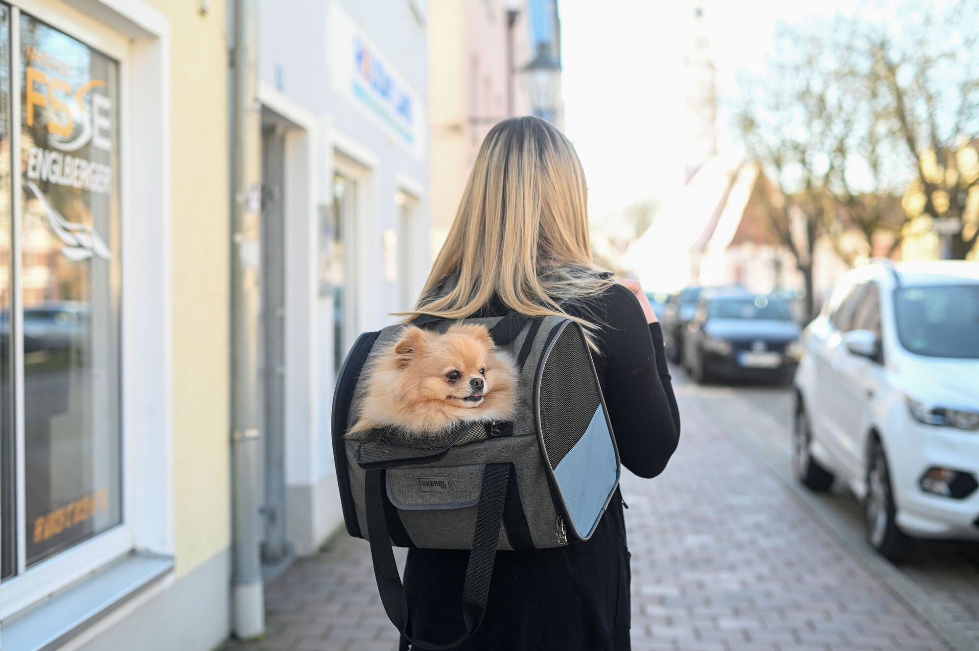 Vacation/travel pet backpack - Small dog or cat