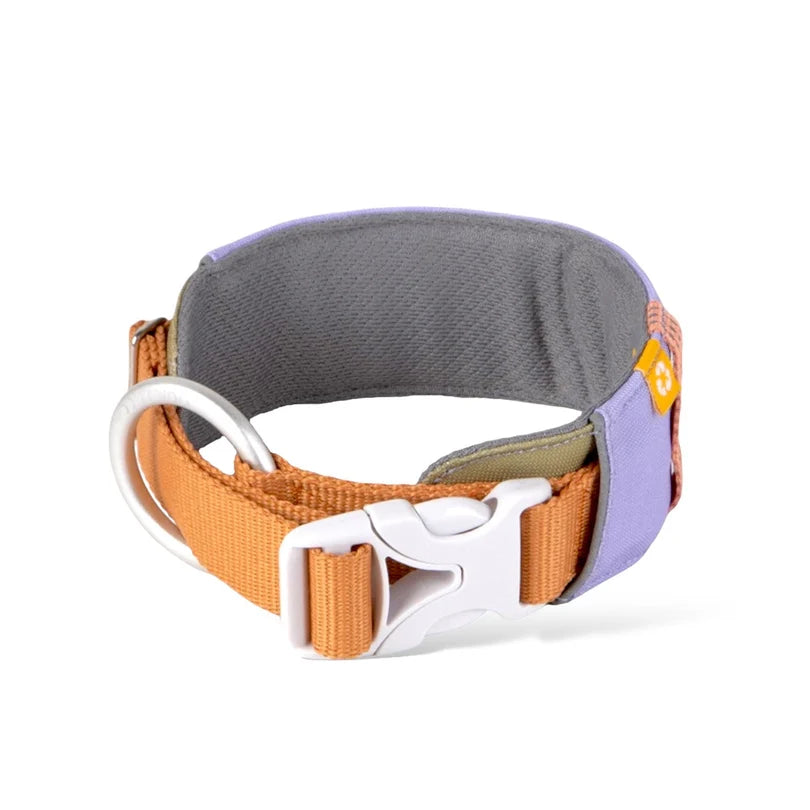 Hundehalsband Lavendel