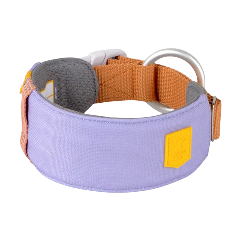 Hundehalsband Lavendel