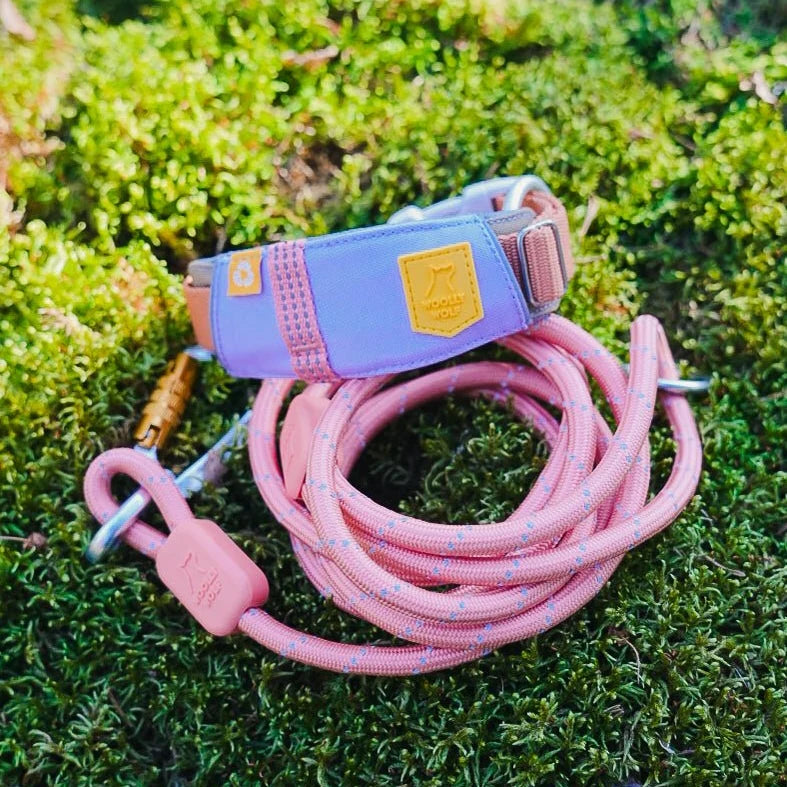Hundehalsband Lavendel