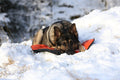 Protector bivvy bed