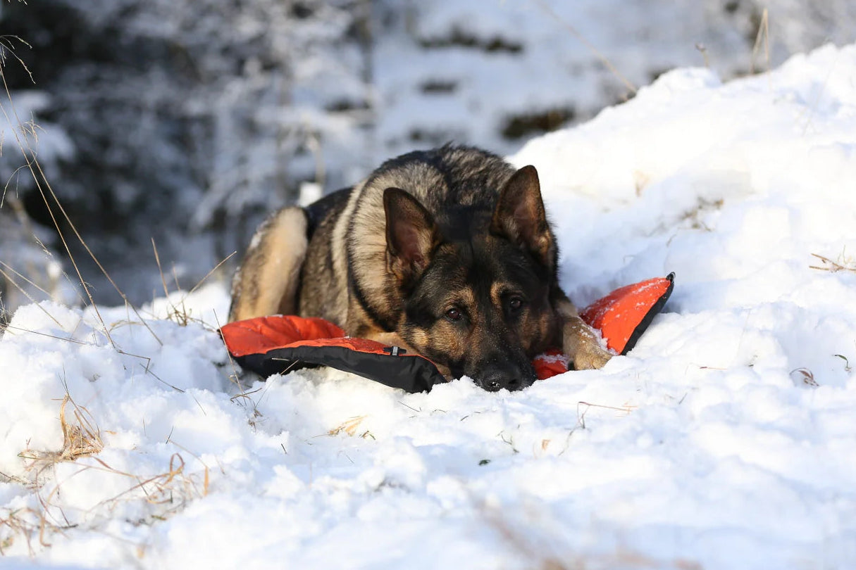 Protector bivvy bed